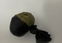 WOMAN AND HER “HUSBAND” ARRESTED AT TULSA CAMP COMPLEX Fentanyl laced marijuana - tulsa police department evidence